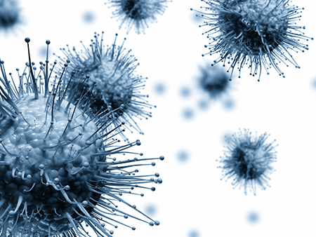 Chinese Coronavirus Epidemic: More Information